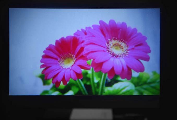 The Pocket Projector